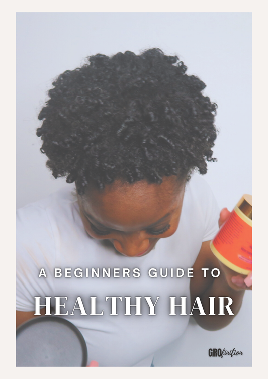 A BEGINNERS GUIDE TO HEALTHY HAIR EBOOK